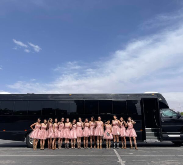 ROYAL CROWN LIMOUSINE PARTY BUS