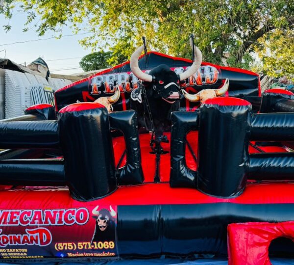 MACIAS TORO MECANICO