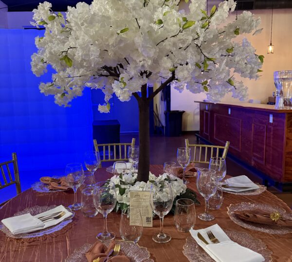 LA MISION EVENT (NORTHEAST LOCATION)